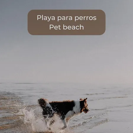El Palmito En Centro, Terraza Privada, Cocina Completa Y Wifi דירה *